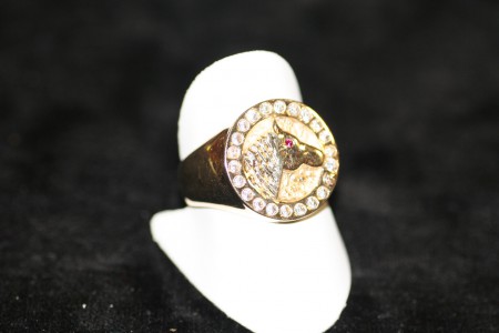 Paarden Ring